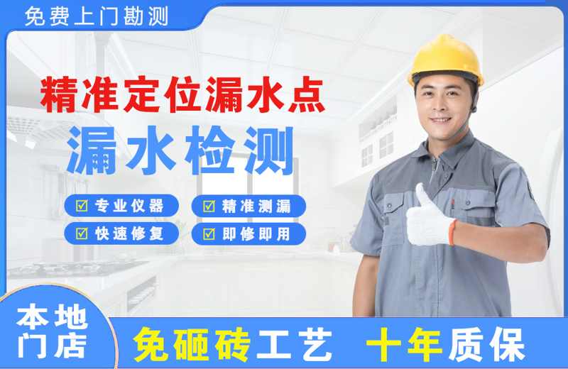 鱼峰精准测漏点
